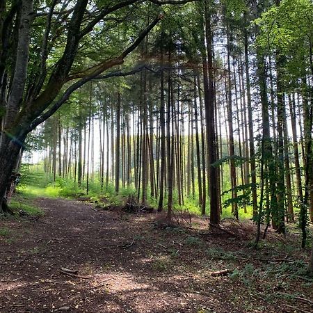 Zimmer mit Bergblick Starnberg Exterior foto