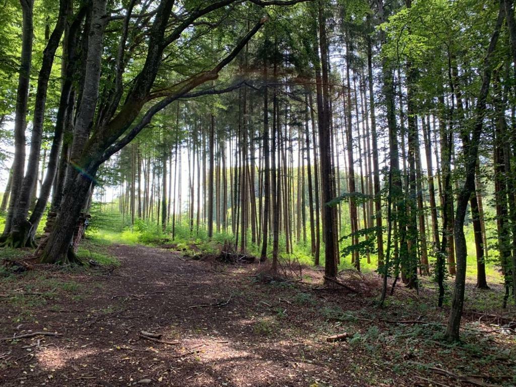 Zimmer mit Bergblick Starnberg Exterior foto